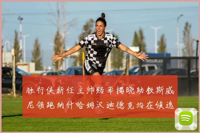 独行侠新任主帅赔率揭晓助教斯威尼领跑纳什哈姆汉迪德克均在候选之中